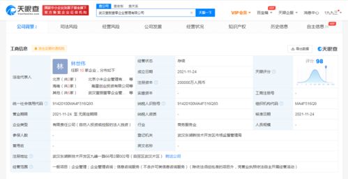 注冊資本20億元！小米在武漢成立企業管理公司，赤壁企業網站建設迎來新啟示